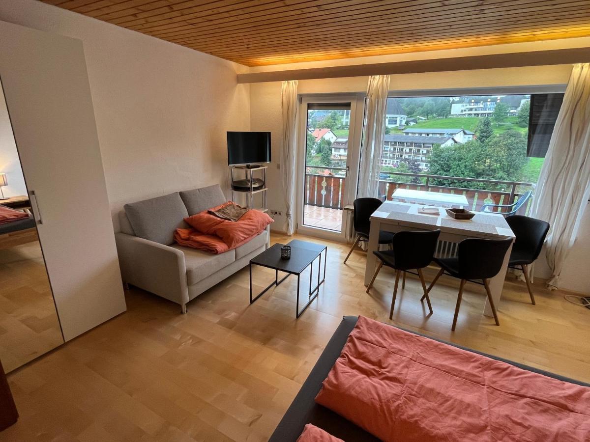 Haus Am Sonnenberg, Todtnauberg, Ferienwohnung 204, Direkt Am Skilift-Skipiste, Naehe Feldberg 外观 照片